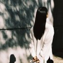 모먼트필름 네이버블로그