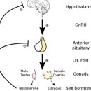 재이한의원 이미지