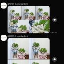 레미가든 네이버블로그