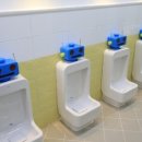 길동초등학교 이미지