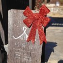 씨유구미원호세영리첼점 | [구미. 너와숲] 구미 크리스마스 한옥 카페 데이트 맛집. 너와숲