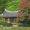 봉강 봉당리 거연정 이미지