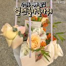 엘앤클라 이미지
