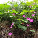 아림골프랜드 이미지