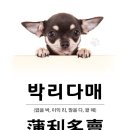 기분좋은 안경 네이버블로그