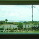 배롱나무집 이미지