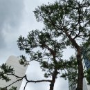 야탑2동 주민센터 | 야탑동 아파트단지화단 연인과함께 행복한시간