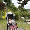 힐락소아청소년과의원 이미지