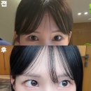 [노원속눈썹펌] 비마인뷰티｜속눈썹펌 유목민 드디어 정착함