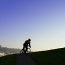 칼라스 친구들 이미지