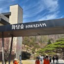 무궁화동산 화장실 | [내 돈 내산] 2026 화담숲 / 수선화 축제 화담숲 / 경기 광주 데이트 / 임산부 화담숲 관람 후기 꿀팁