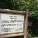 백운산약수터 이미지