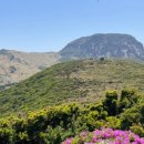 하당농장 이미지