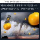 서민포차 네이버블로그