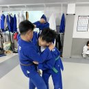 용인대 대전유도관 이미지