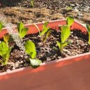 마을기업 씨앗 이미지