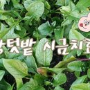 꼴통포차 네이버블로그
