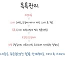 림&Doggy Salon 이미지