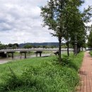 남천제방길 이미지