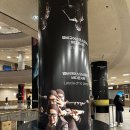 엠비규어스 댄스컴퍼니 바디콘서트 이미지