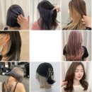 베니스헤어 이미지