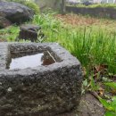 제주곶자왈별장 이미지