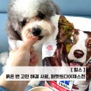우수사료 | 성견 강아지사료 묽은 변 변화? 힐스 퍼펙트다이제스천 후기｜장건강·배변 직접 비교