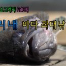 ftv피싱지오그래픽 240회 미리내바다좌대낚시터 편 이미지