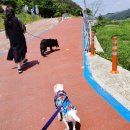 천담경로당 네이버블로그