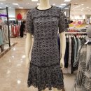크로커다일레이디뉴코아