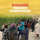 완숙미인토마토 | [공지] 컬러 방울 토마토체험 단체체험 후기 완숙미인토마토