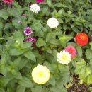 왕언니네 이미지