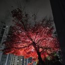 동익인간 원스텝짐 이미지