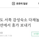 다채놀 이미지
