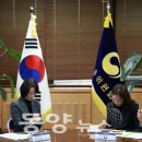 개정청과