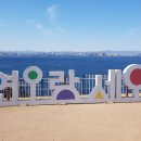 포항해파랑맛집 이미지