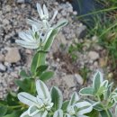 지에스25울산장생포점 이미지