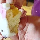 핑크닉 | 시흥레터링케이크 맛집 핑크닉 키티마들렌 3구 후기 시흥은계지구케이크 추천