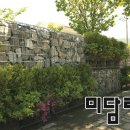 채움미담