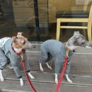 제이리드 이미지