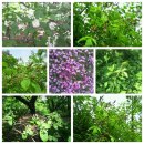 넝쿨공인중개사사무소 이미지