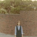 세화 이미지