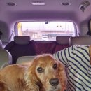 아진메디칼 이미지