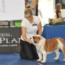 인터메리 이미지