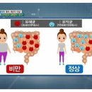 헤라골드