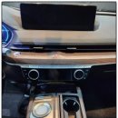 루페스빅풋 디테일링센터 포항점 이미지