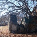 입석리경로당 이미지