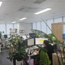 세무회계서원 - 영등포구 선유로49길 4 | 세무회계서원