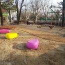 청주교육대학교부설초등학교 이미지