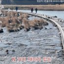 벚꽃역